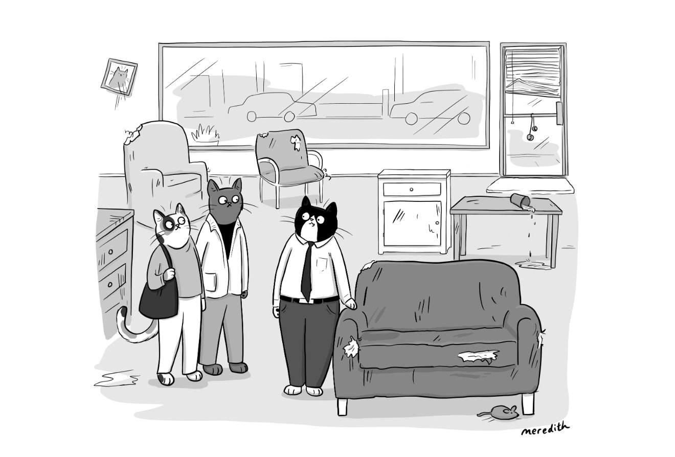 Cats at a real estate showing in a trashed apartment